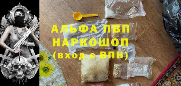 индика Белоозёрский