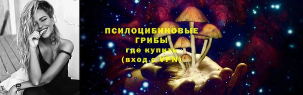 индика Белоозёрский