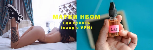 индика Белоозёрский