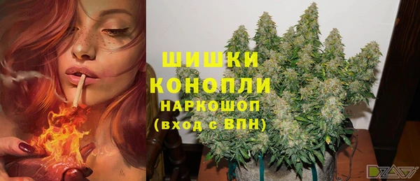 каннабис Белокуриха
