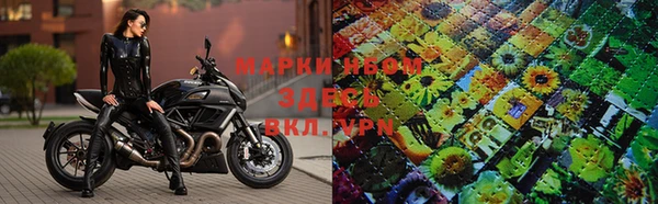 индика Белоозёрский