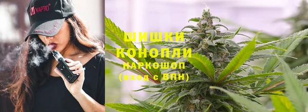 индика Белоозёрский