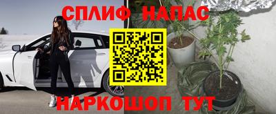 прущие грибы Волжск