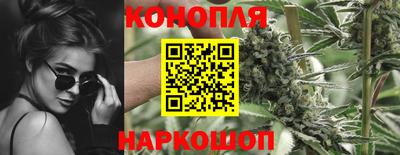 jwh Аргун