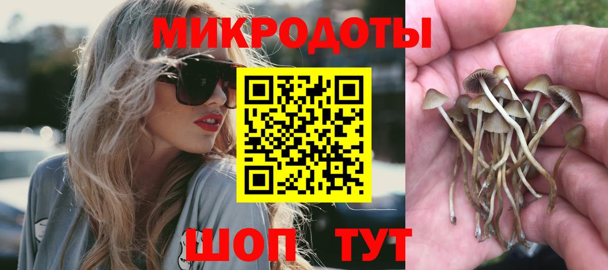 Галлюциногенные грибы Cubensis Великие Луки