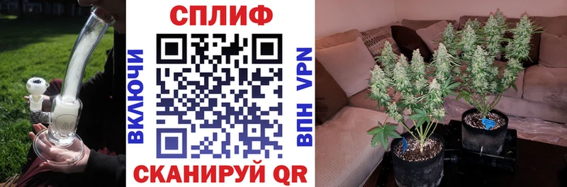 Каннабис индика  блэк спрут зеркало  Великие Луки 